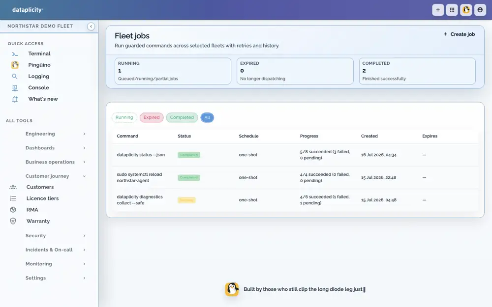 Fleet job commands, status and per-device progress in the demo workspace